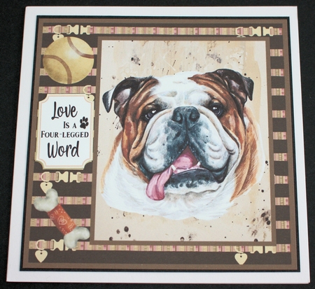 English Bulldog card front  by Marion Kimberley-Scott