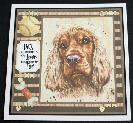 English Cocker card front  by Marion Kimberley-Scott