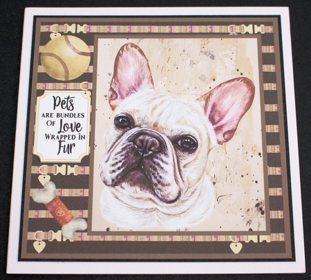 Frenchie card front  by Marion Kimberley-Scott