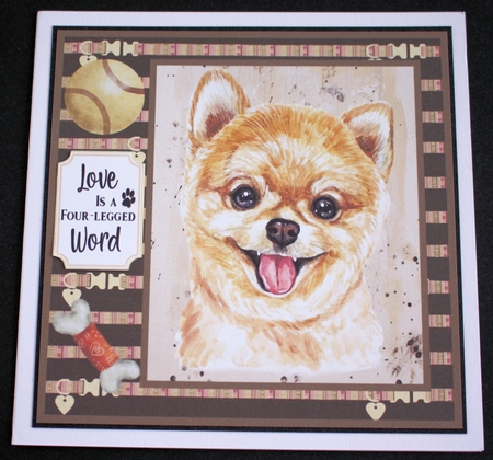 Pomeranian card front  by Marion Kimberley-Scott