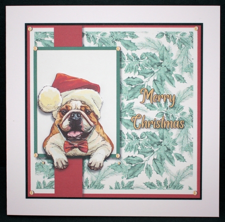 Christmas Bulldog  by Marion Kimberley-Scott