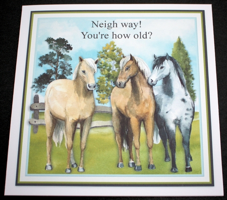 YOURE HOW OLD?  by Marion Kimberley-Scott