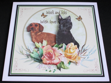 WOOFS AND LICKS by Marion Kimberley-Scott
