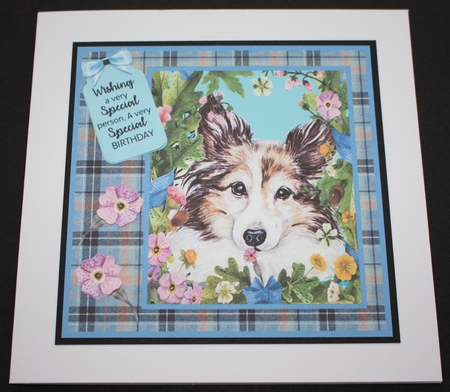 Floral dog card front (choice of main picture) 2 by Marion Kimberley-Scott