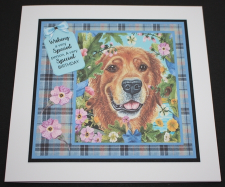 Floral dog card front (choice of main picture) 3 by Marion Kimberley-Scott
