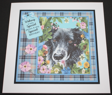 Floral dog card front (choice of main picture) 5 by Marion Kimberley-Scott