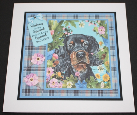 Floral dog card front (choice of main picture) 6 by Marion Kimberley-Scott