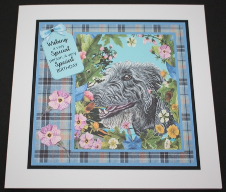Floral dog card front (choice of main picture) 8 by Marion Kimberley-Scott