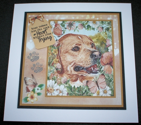 Peach floral Labrador card front 6 by Marion Kimberley-Scott