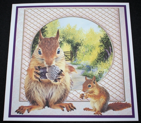 AND FRIENDS SQUIRRELS MISC SENTIMENTS by Marion Kimberley-Scott