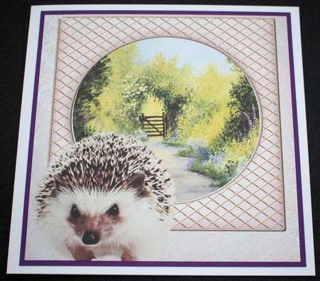 AND FRIENDS HEDGGEHOG MISC SENTIMENTS by Marion Kimberley-Scott