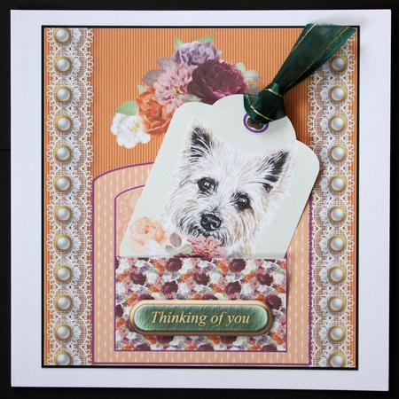 Orange and purple cute dog pocket card front 6 by Marion Kimberley-Scott