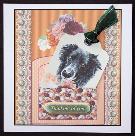 Orange and purple cute dog pocket card front 7 by Marion Kimberley-Scott