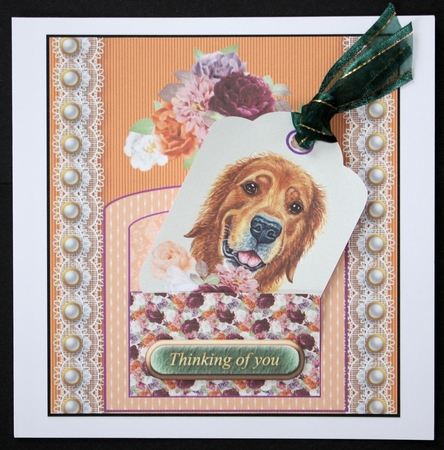 Orange and purple cute dog pocket card front 8 by Marion Kimberley-Scott
