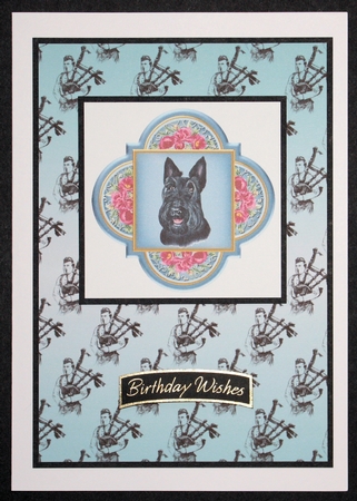 6 Floral assorted dog toppers 1 by Marion Kimberley-Scott