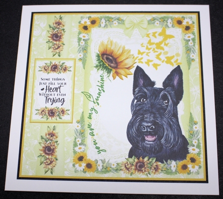 Scottish dogs you are my sunshine card front 1 by Marion Kimberley-Scott
