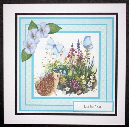 Baby Hedgehog in the Garden (7x7 inch square card) by Marion Kimberley-Scott