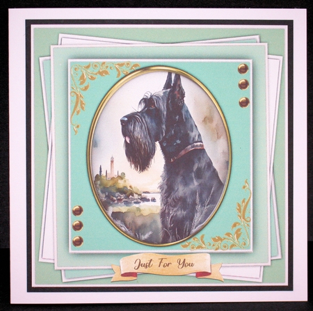 8x8 Gorgeous Giant Schnauzer Dog , 1 by Marion Kimberley-Scott