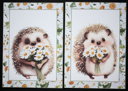 2 Daisy hedgehog notelets 1(with room for sentiment) by Marion Kimberley-Scott