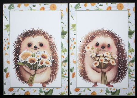 2 Daisy hedgehog notelets (with room for sentiment) 2 by Marion Kimberley-Scott