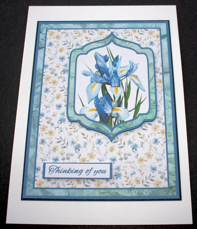 Beautiful blue irises by Marion Kimberley-Scott