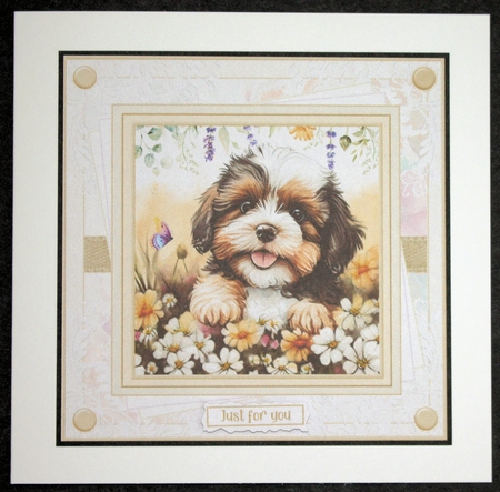 Dog lover 7x7ins Decoupage Toppers x 8 and 4 x Matching Inserts by Marion Kimberley-Scott