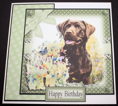 Spring Time Lab in Green by Marion Kimberley-Scott