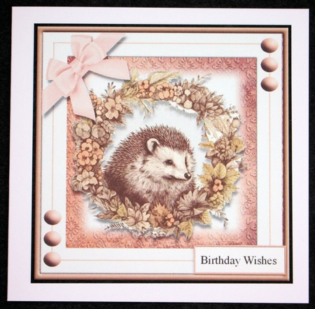 Lovely Hedgehog by Marion Kimberley-Scott