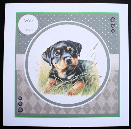 Gorgeous Rottweiler Dogs by Marion Kimberley-Scott