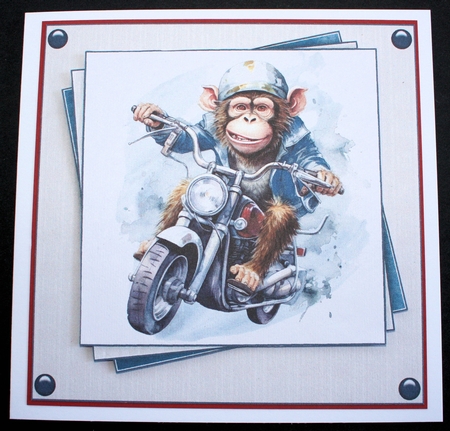 Little Monkey Mini Kit  by Marion Kimberley-Scott