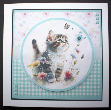 Pretty Kitty by Marion Kimberley-Scott