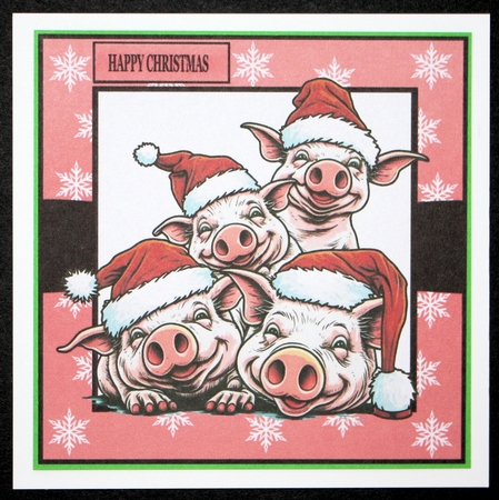 PIG SQUAD CHRISTMAS by Marion Kimberley-Scott