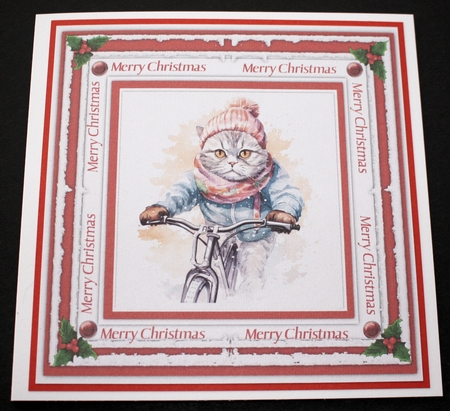 8x8 Mini Kit, Gorgeous Cat In the Snow by Marion Kimberley-Scott