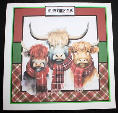 CHRISTMAS HIGHLAND COWS 2 by Marion Kimberley-Scott