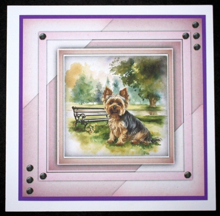 8x8 Mini Kit , Beautiful Yorkie Sitting  by Marion Kimberley-Scott