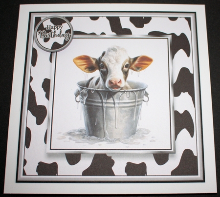 8x8 Baby Cows Mini Kit - x10 A4 Sheets  by Marion Kimberley-Scott