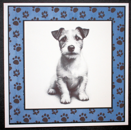 PawPrint   Background Kit by Marion Kimberley-Scott