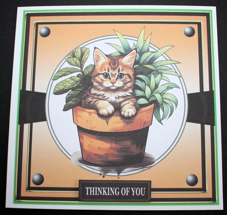 CAT IN A PLANT POT by Marion Kimberley-Scott
