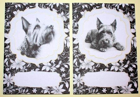 Scottish Terrier notelets kit 1 by Marion Kimberley-Scott