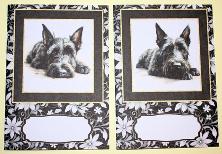 Scottish Terrier notelets kit 2 by Marion Kimberley-Scott