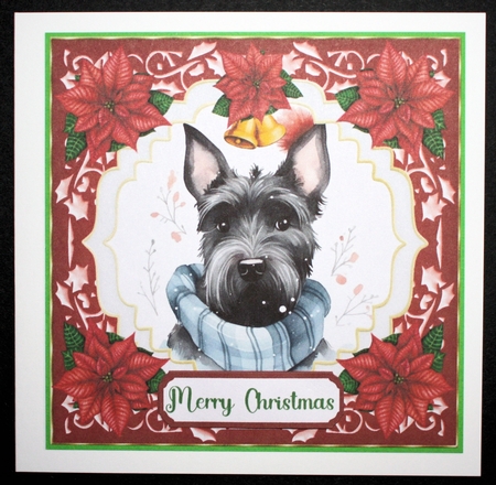 Christmas Scottish Terrier card front 2 by Marion Kimberley-Scott