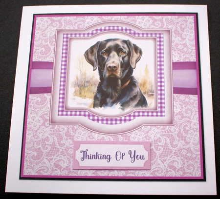 Lilac Lab card front 3 by Marion Kimberley-Scott