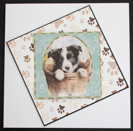 6 Floral pup toppers 2 by Marion Kimberley-Scott
