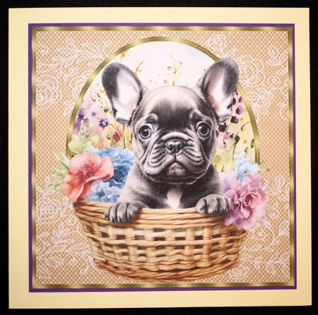 3 Floral pup in basket card front/toppers 8 by Marion Kimberley-Scott