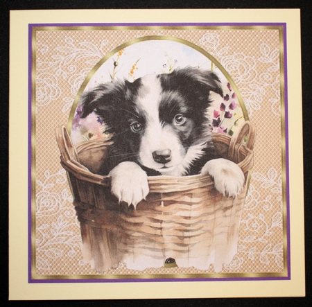 3 Floral pup in basket card front/toppers 10 by Marion Kimberley-Scott