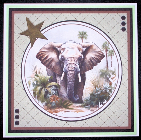 Wild and Free - The African Elephant by Marion Kimberley-Scott