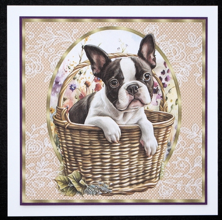 3 Floral pup in basket card front/toppers 14 by Marion Kimberley-Scott