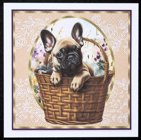 3 Floral pup in basket card front/toppers 16 by Marion Kimberley-Scott