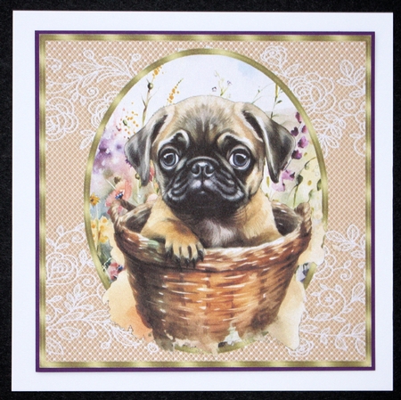 3 Floral pup in basket card front/toppers 17 by Marion Kimberley-Scott