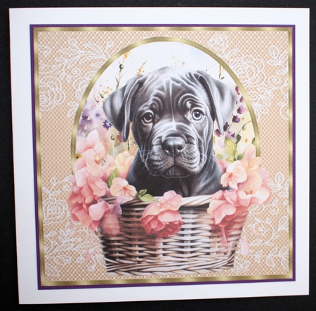 3 Floral pup in basket card front/toppers 22 by Marion Kimberley-Scott